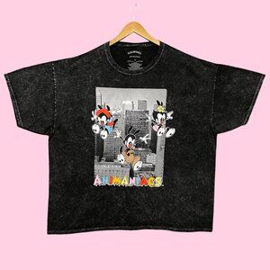 Animaniacs Yakko, Wakko, & Dot Mineral Wash Oversized Tee XL
